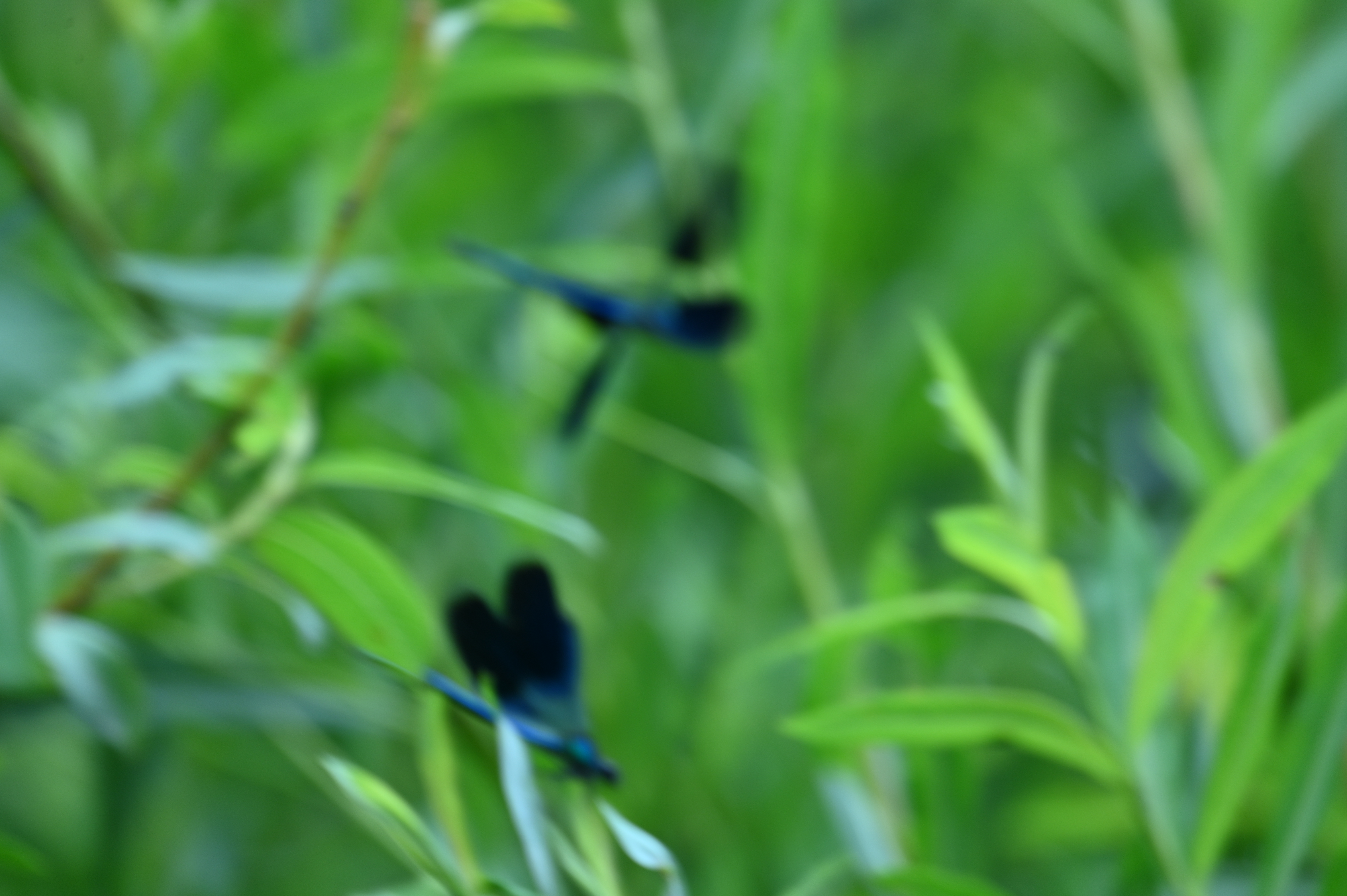 2025/07/09-14 - trip/DSC_0222.JPG